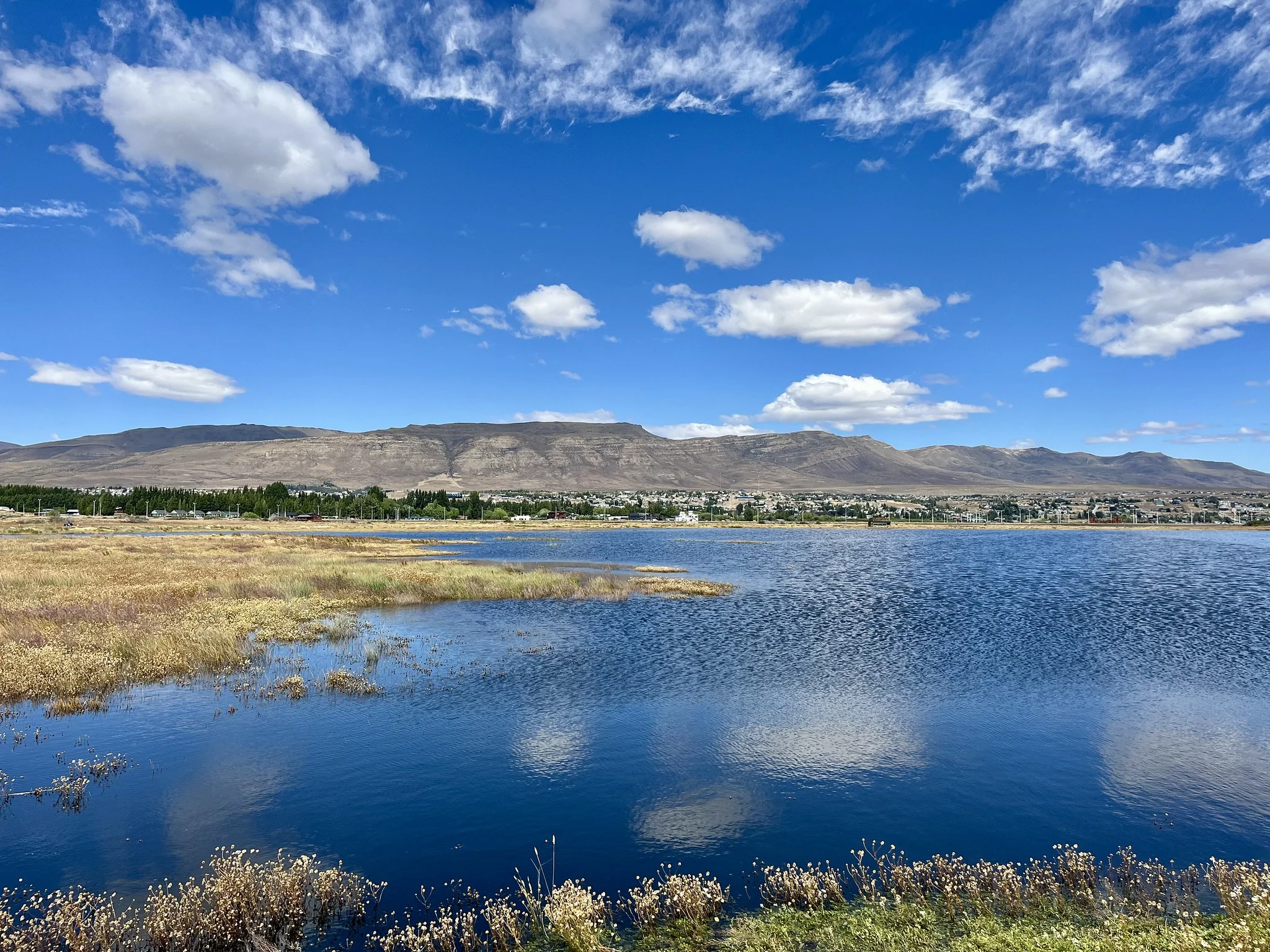 Foto de Reserva Laguna Nimez