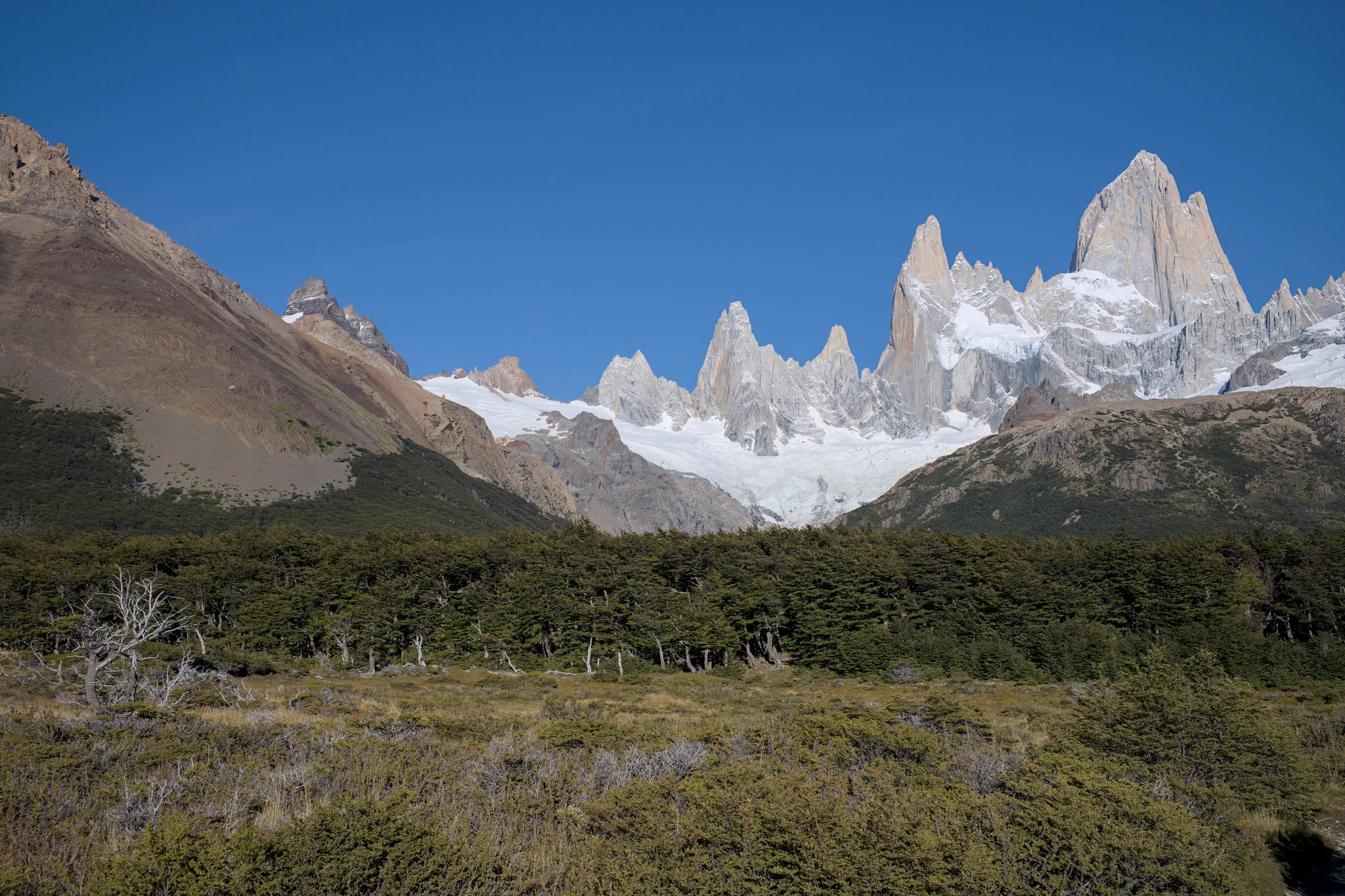 Foto de Monte Fitz Roy