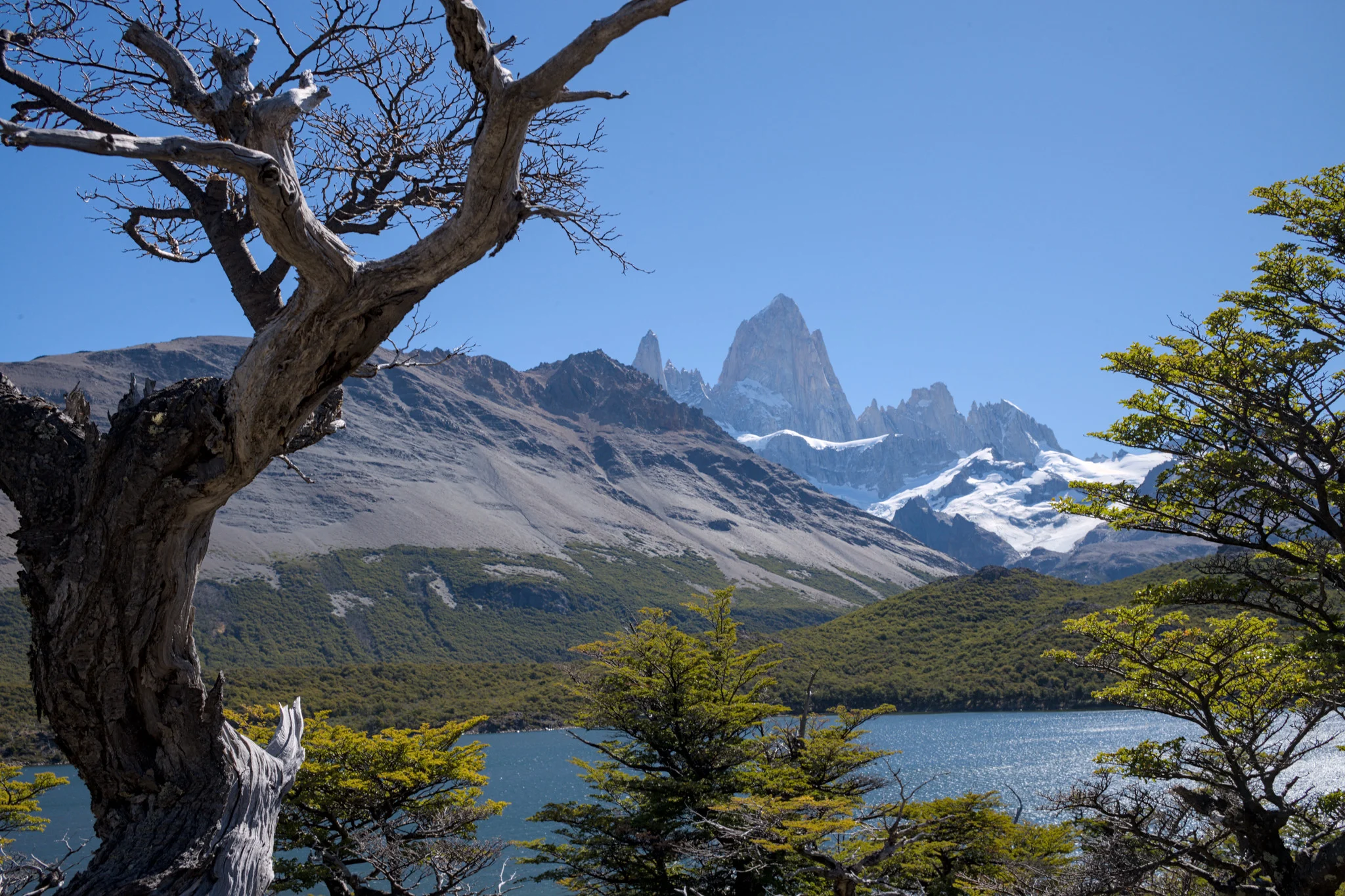 Foto de Laguna de los Tres